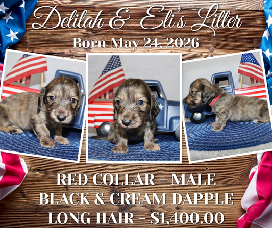 Delilah's Litter