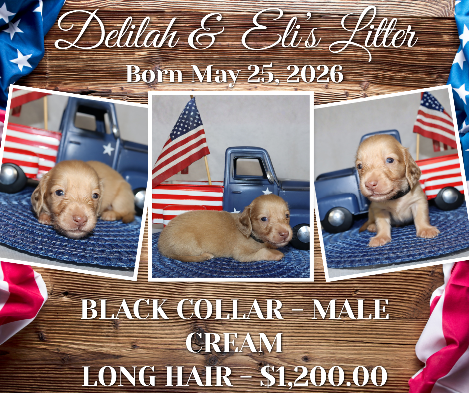 Delilah's Litter