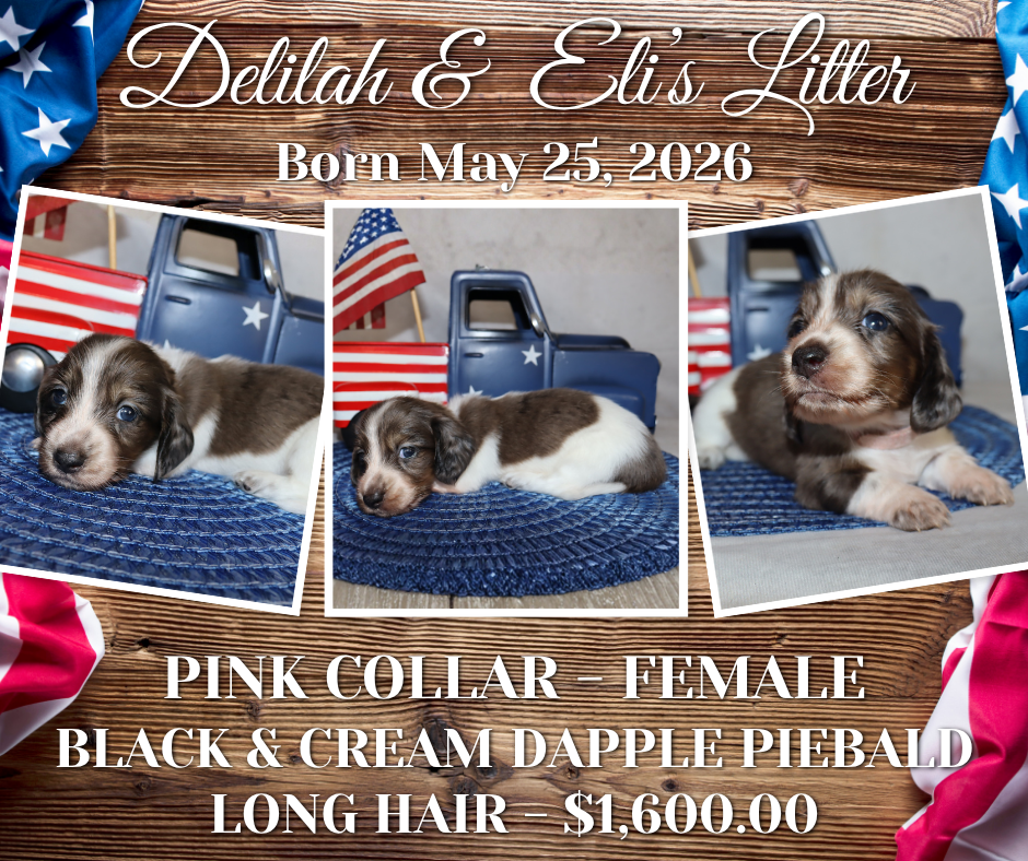 Delilah's Litter