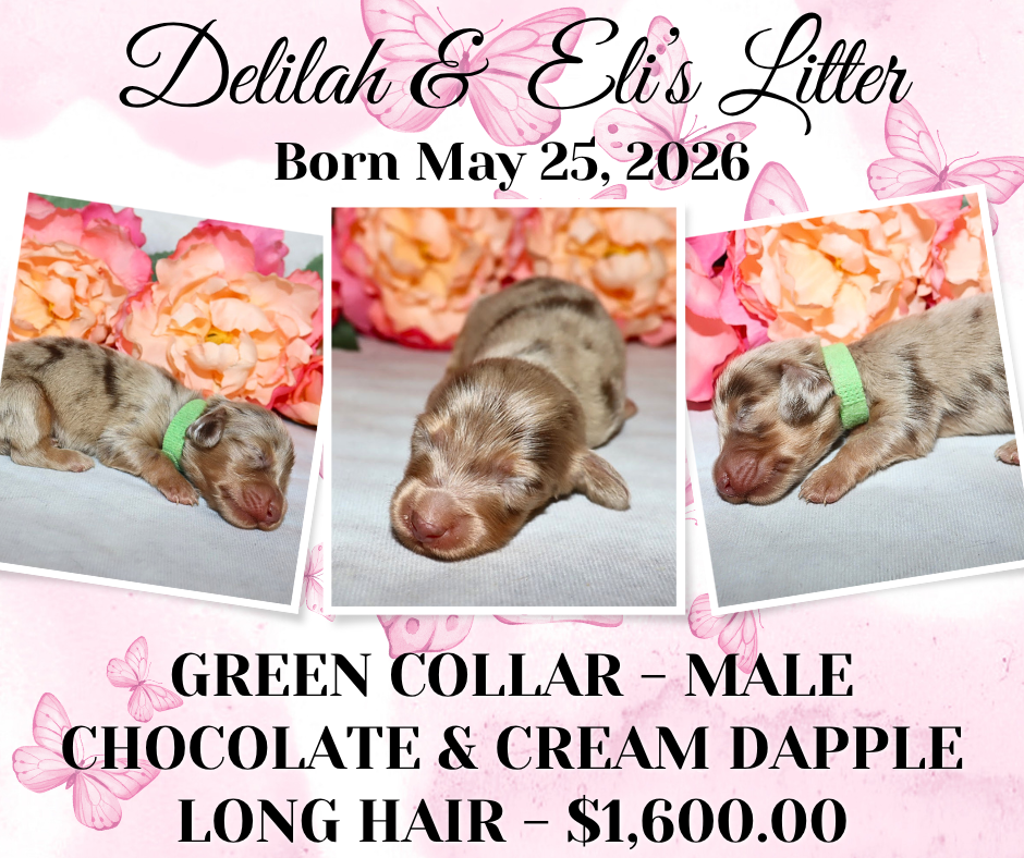 Delilah's Litter
