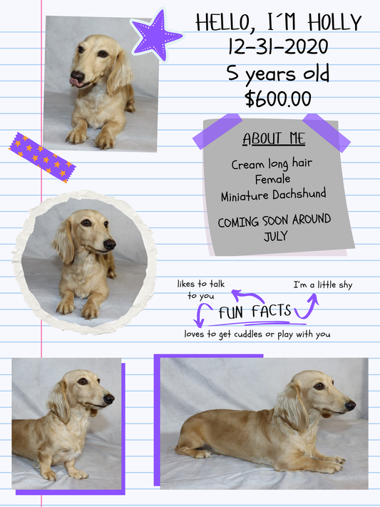 Adult Dogs Coming Soon