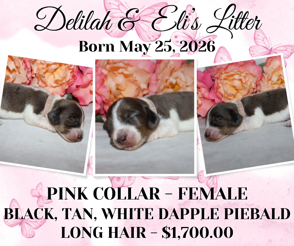 Delilah's Litter